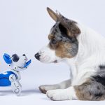 A Unified Voice: Call Centre Connectivity via Unify OpenScape Voice