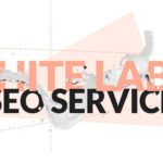 Basic SEO Necessities in a Long Article